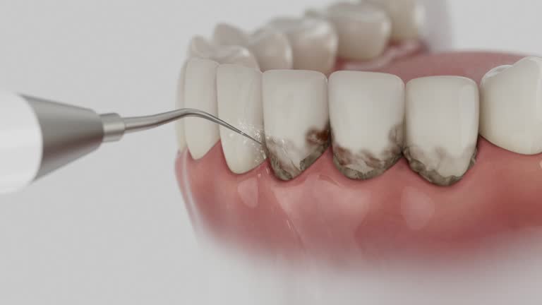 Trusted Emergency Dentist service in St. Joseph, MI - Dentist Open Now